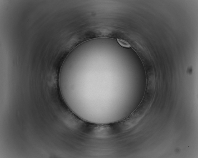X0000101200274200807071322