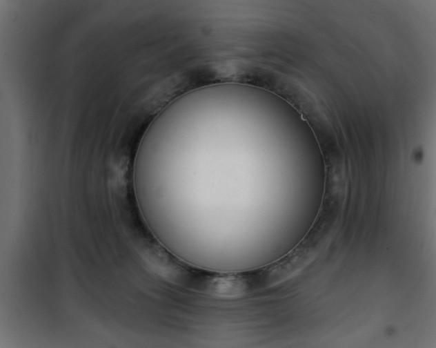 X0000101200275200807071322