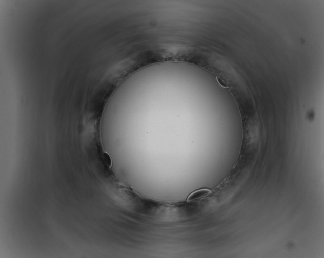X0000101200276200807071322