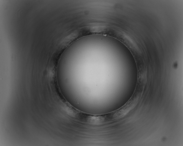 X0000101200277200807071322