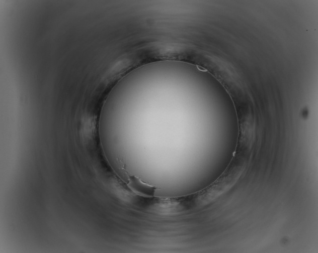 X0000101200278200807071322