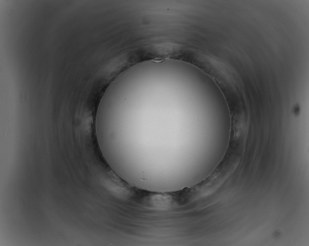 X0000101200279200807071322