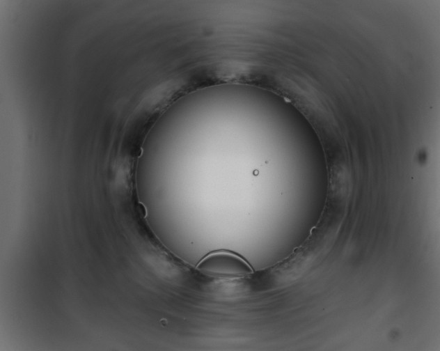 X0000101200280200807071322