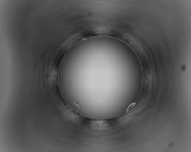 X0000101200281200807071322