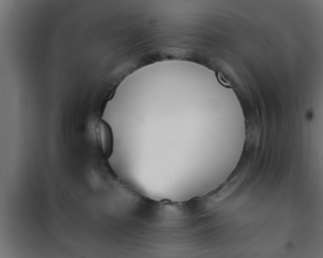 X0000101200285200807071322