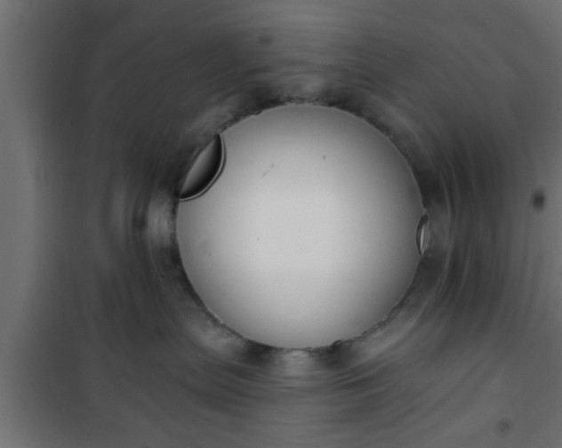 X0000101200287200807071322