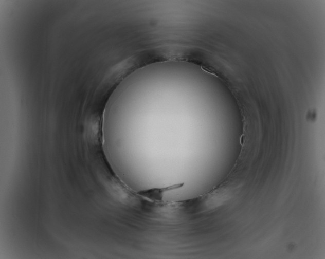 X0000101200288200807071322