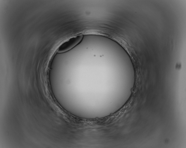 X0000101200289200807071321