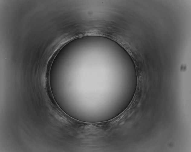 X0000101200290200807071321