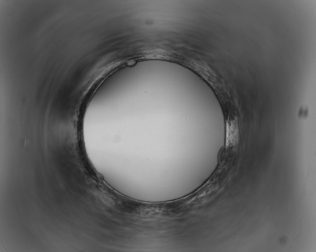 X0000101200291200807071321