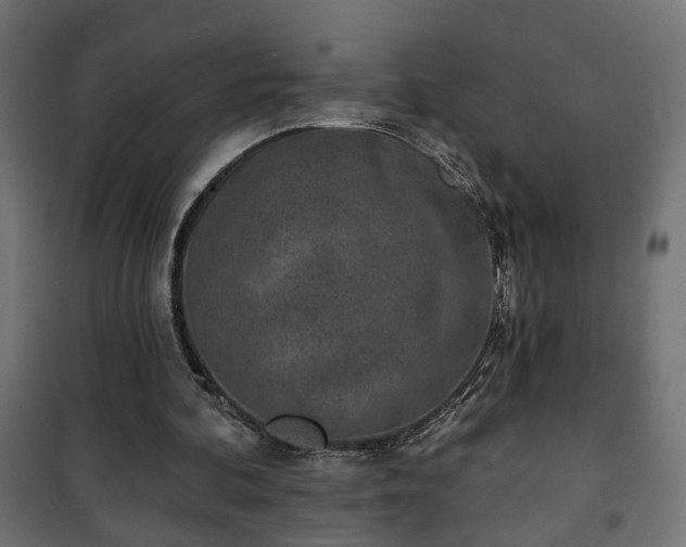 X0000101200292200807071321