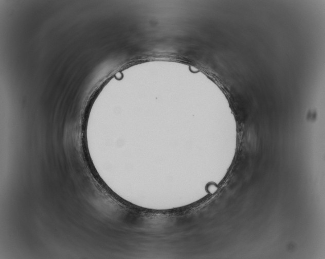 X0000101200293200807071321