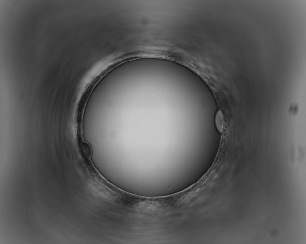 X0000101200294200807071321
