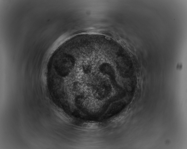 X0000101200295200807071321