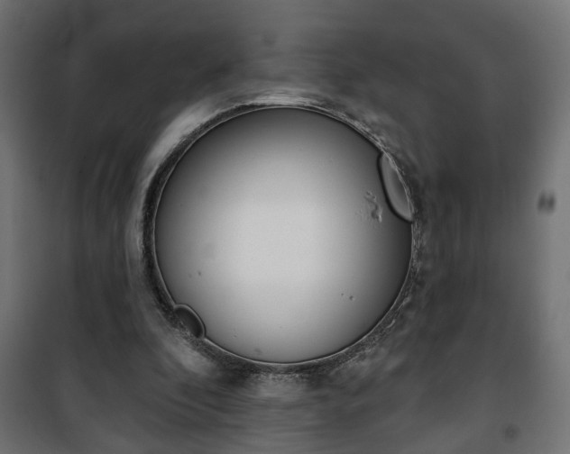 X0000101200296200807071321