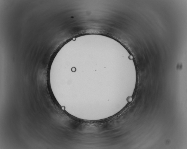 X0000101200297200807071321