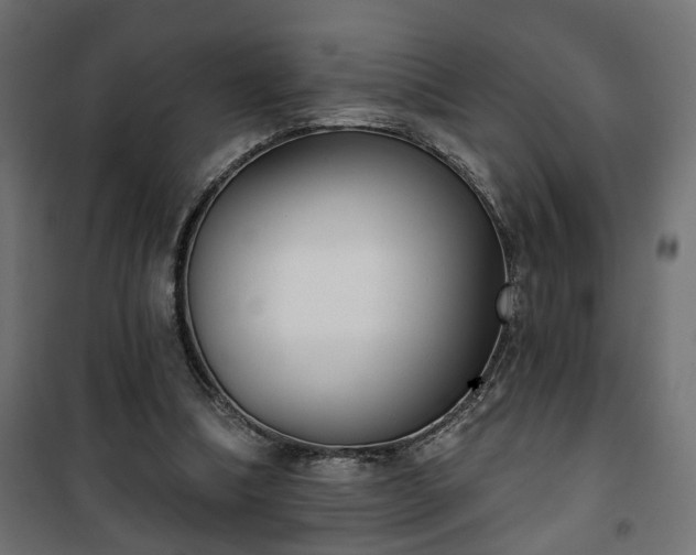 X0000101200298200807071321