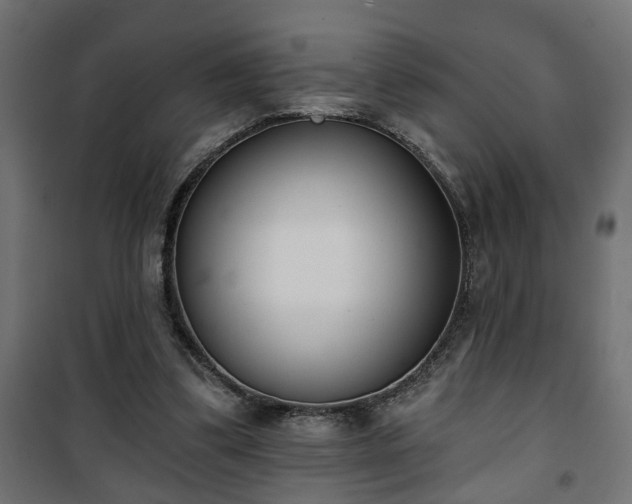 X0000101200299200807071321