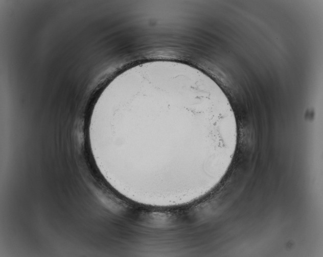 X0000101200302200807071321