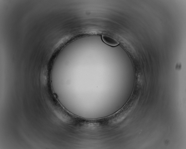 X0000101200304200807071321