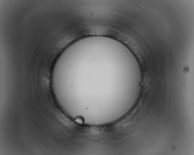 X0000101200305200807071321