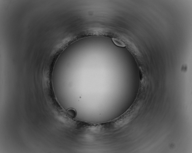 X0000101200306200807071321