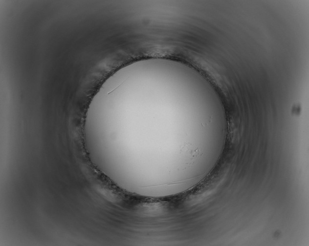 X0000101200307200807071321