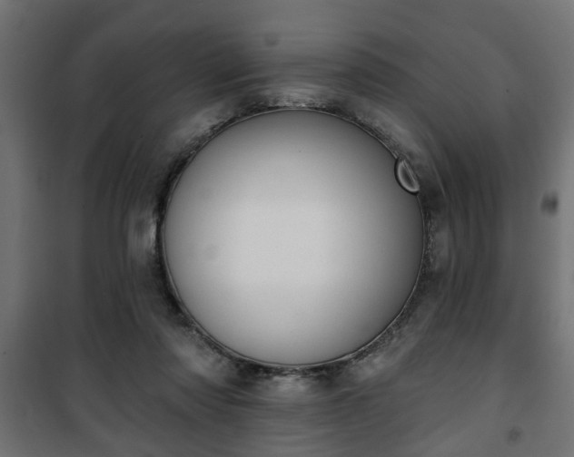 X0000101200310200807071321