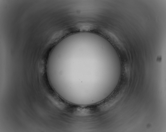 X0000101200311200807071321