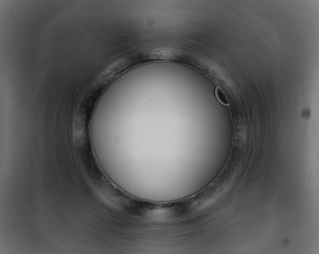 X0000101200312200807071321