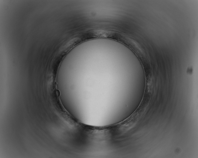 X0000101200314200807071321