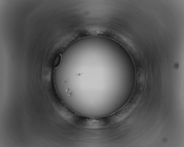 X0000101200315200807071321