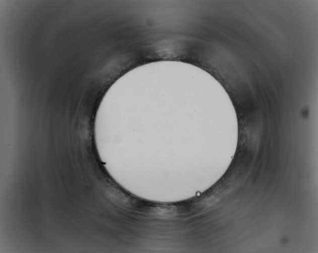 X0000101200317200807071321