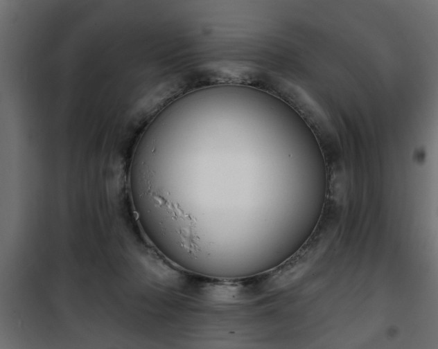 X0000101200318200807071321