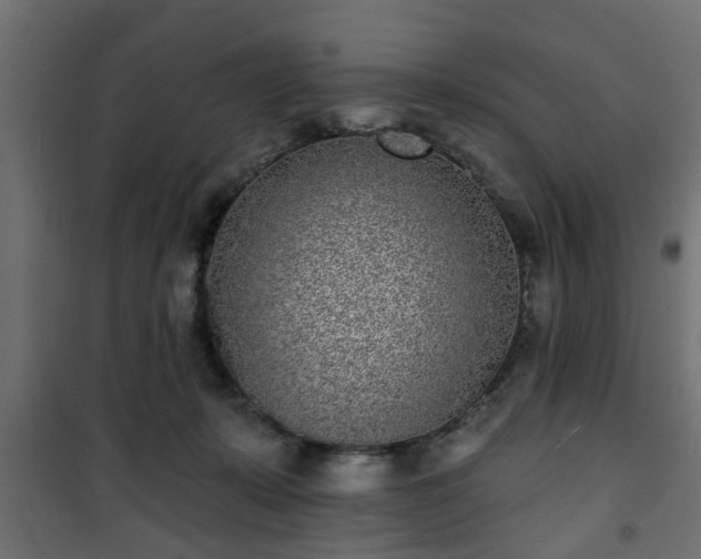 X0000101200319200807071321