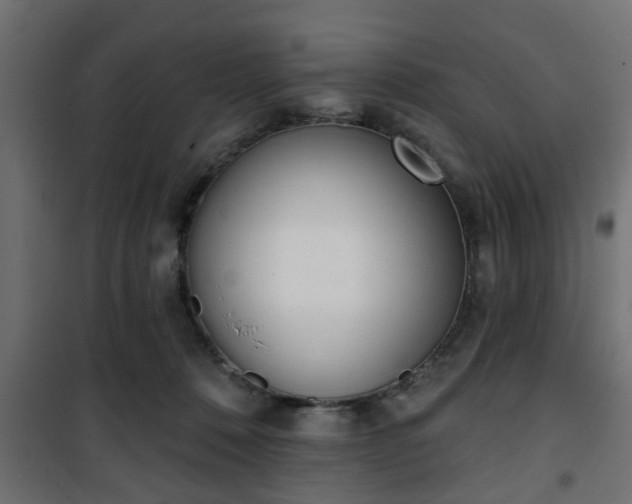 X0000101200320200807071321