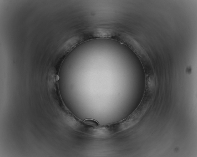 X0000101200322200807071320