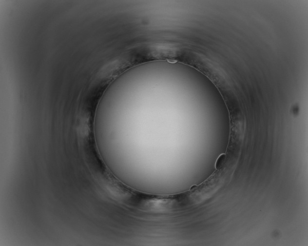 X0000101200323200807071320