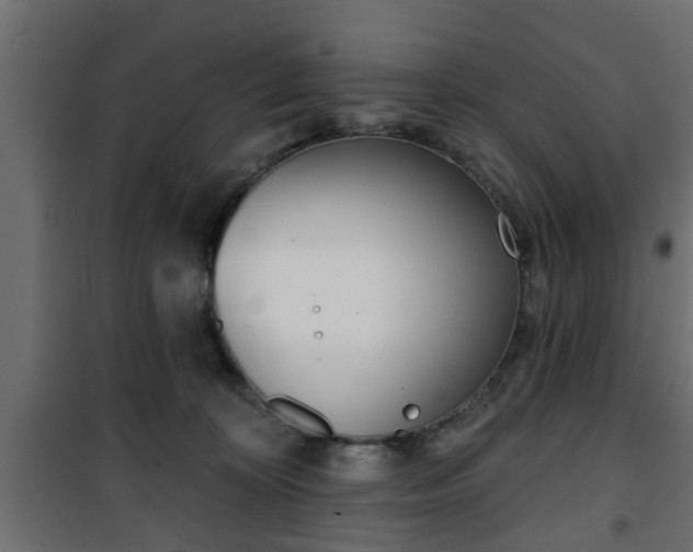 X0000101200324200807071320