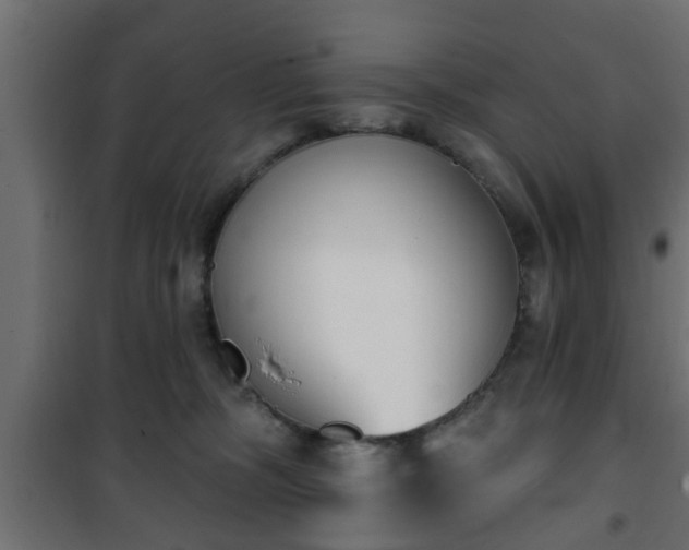X0000101200326200807071320