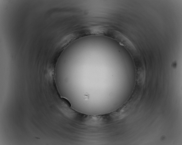 X0000101200329200807071320