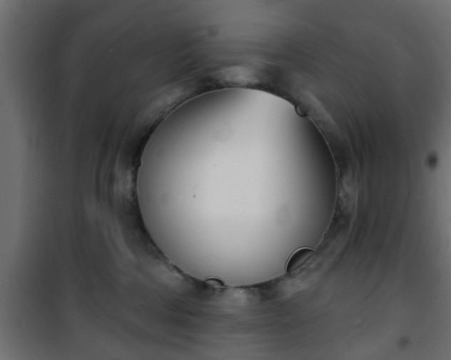 X0000101200330200807071320