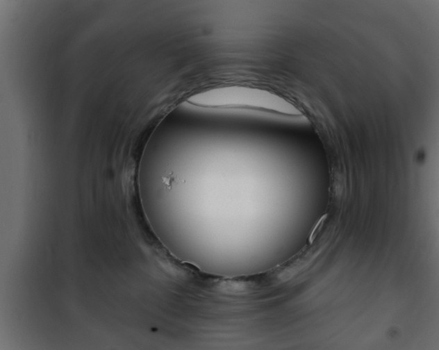 X0000101200332200807071320