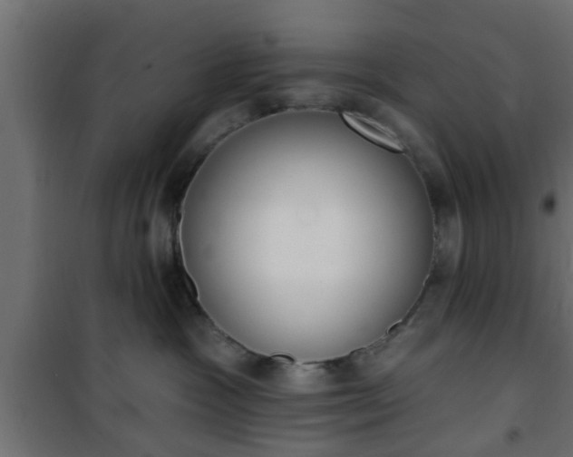 X0000101200333200807071320