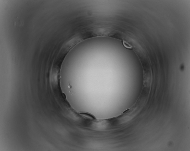 X0000101200334200807071320