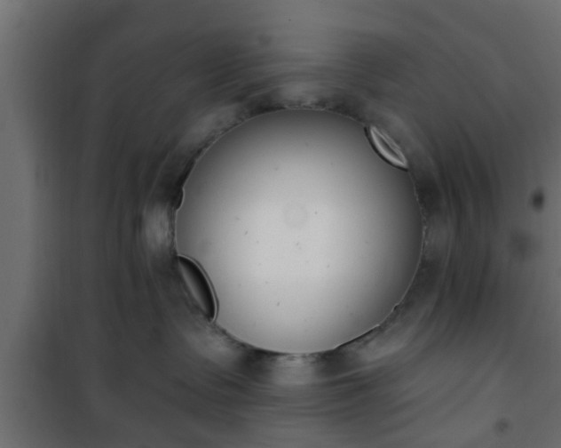 X0000101200335200807071320