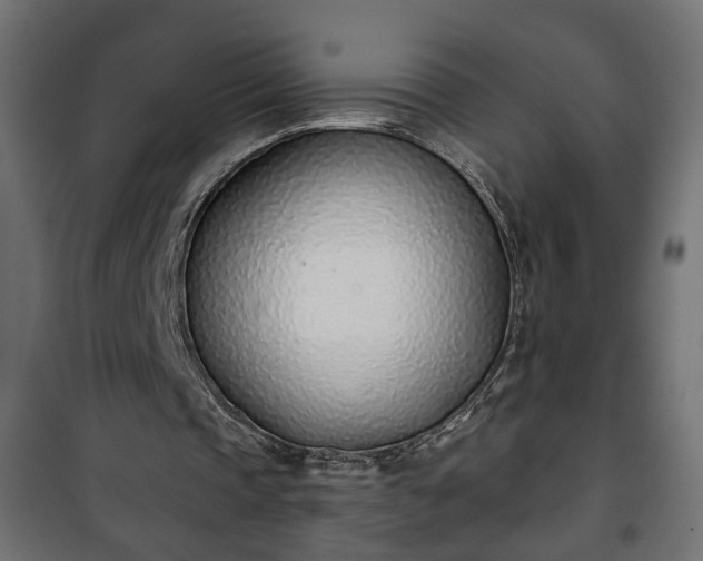 X0000101200337200807071319