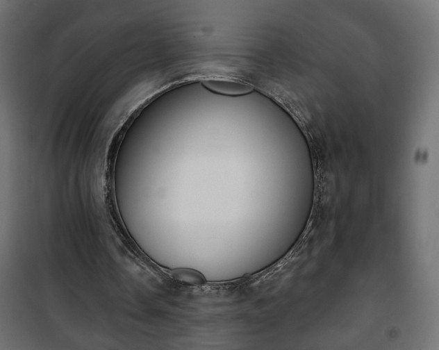 X0000101200338200807071319