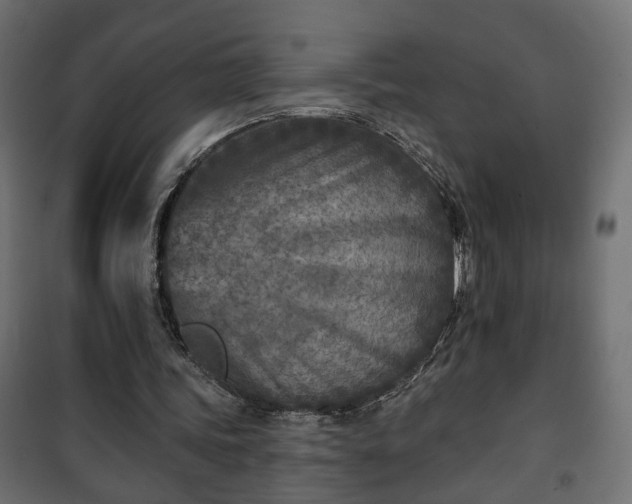 X0000101200339200807071319