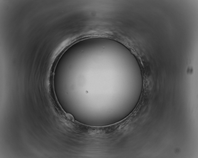X0000101200340200807071319